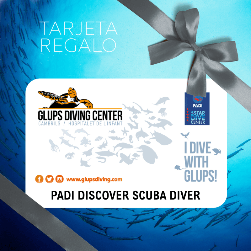 BONO REGALO PADI DISCOVER SCUBA DIVING