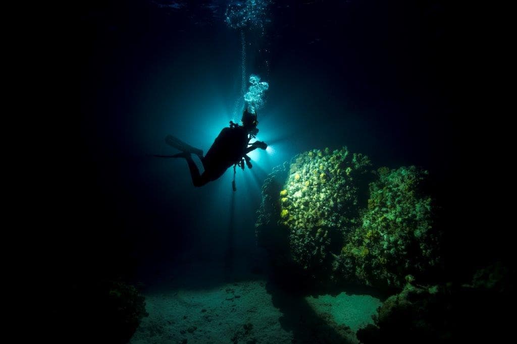Padi Especilalidad de Nocturna (260€)